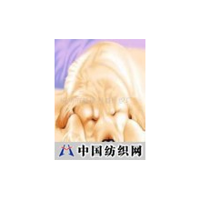绍兴市越城飞鸟针织厂 -印花摇粒绒印花剪毛绒印花单/双面绒