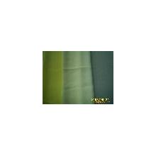 绍兴县盛艳纺织品有限公司-全涤高丝宝 