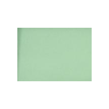 吴江德辉纺织品有限公司-320D塔丝绒 