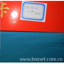 绍兴县旭鉴纺织品有限公司-T/C 110*76 