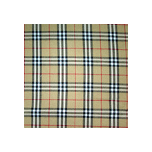 江阴市华伟色织有限公司-T/R色织布 
