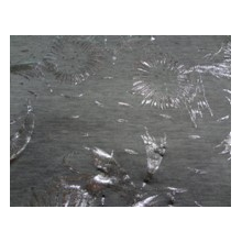 绍兴县东帛进出口有限公司-T/R汗布烫银 