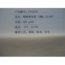 吴江亚太进出口有限公司-锦棉变化斜 