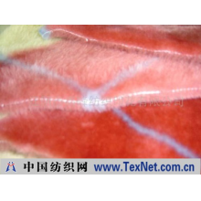 江阴市高峰纺织印花有限公司 -高档经编拉舍尔毛毯、童毯
