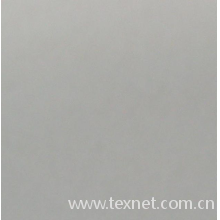中国轻纺城网络有限公司-锦纶哑光 