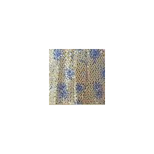 佛山市禅城区达兴盛针织有限公司-冲片布 