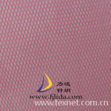 力达针织有限公司-30D透明网布 