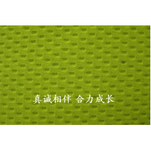 浙江合力针织科技有限公司-150D鸟眼 