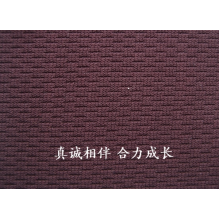 浙江合力针织科技有限公司-100D鸟眼 