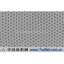 杭州万景新材料公司 -纳米涂层材料