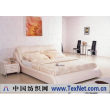 东莞市虎门澳莎家具厂 -恒温水床简约时尚