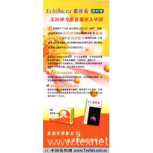 江苏甲珍制毯有限公司 -紫锥菊润喉爽