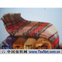 温州鑫荣纺织有限公司 -提花毯(图)