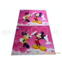 绍兴县逻辑针纺有限公司销售部-双面绒毛毯