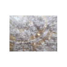 杭州正方纺织品有限公司-雪尼尔装饰布