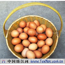 山东省新泰市金元宝工艺塑编篮总厂 -鸡蛋篮菜篮子塑编篮