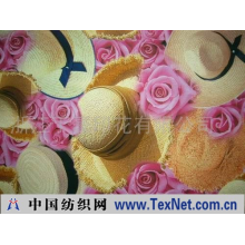 浙江丁豪印花有限公司 -设计纸稿样品效果图