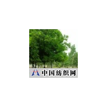 精品中国科技 -提供鸵鸟幼鸟，鸵鸟