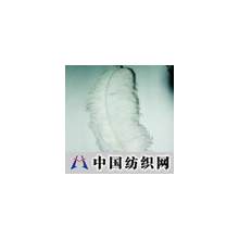 精品中国科技 -鸵鸟黑毛