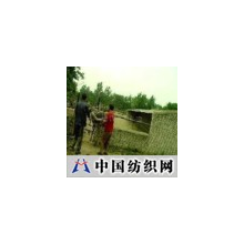 精品中国科技 -鸵鸟