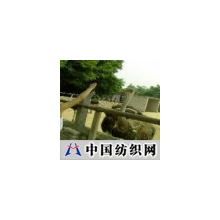 精品中国科技 -鸵鸟幼鸟