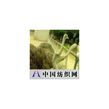 精品中国科技 -提供种鸟、商品鸟、各月龄幼鸟及制品