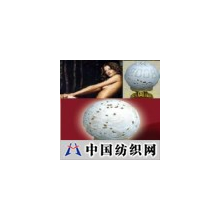 精品中国科技 -鸵鸟蛋艺术品