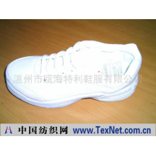 温州市瓯海特利鞋服有限公司 -旅游鞋200411-21