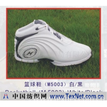 广州市奇异点贸易有限公司 -席尔洛克Hilrok篮球鞋M5003白红