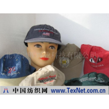 北京宁晖兴业科技有限公司 -雅皮风格外贸运动帽