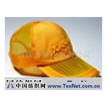 广州派力帽业有限公司 -棒球帽