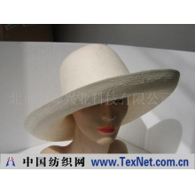 北京宁晖兴业科技有限公司 -女式时装草帽