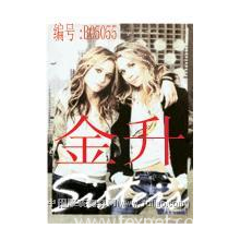 金昇服装辅料工贸有限公司-2008韩国最新平面烫画