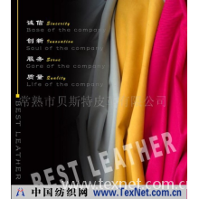 常熟市贝斯特皮革有限公司 -超纤