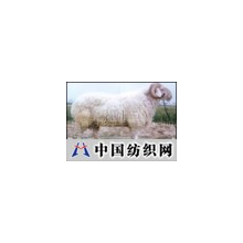 　山东省明龙牛羊繁育场 -纯种小尾寒羊、波尔山羊、黑白花
