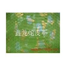 鑫龙蛇皮鱼皮制造-蛇皮鱼皮
