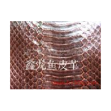 鑫龙蛇皮鱼皮制造厂-蛇皮鱼皮