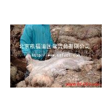 北京凯福迪国际贸易有限公司-羔羊皮 盐湿羔羊皮 绵羊皮 英国羔羊皮