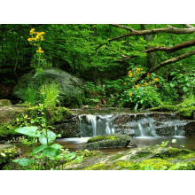 石家庄常山纺织股份有限公司棉三分公司-纱卡 