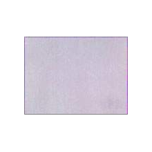 DANDONG U&N TEXTILE CO.,LTD-斜纹网络 
