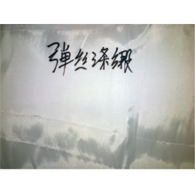 嘉兴市昊阳纺织品有限公司-弹丝涤段坯布 