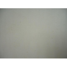 江苏舜天股份南通公司-T/C上浆帆布66*38  63