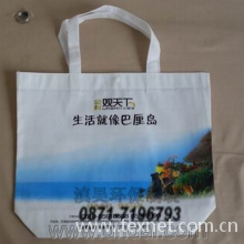 云南滇昊环保制袋有限公司-彩印式无纺布袋-08