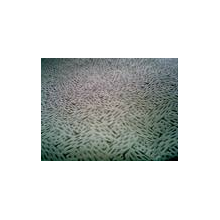 擎汉科技有限公司-熔喷无纺布