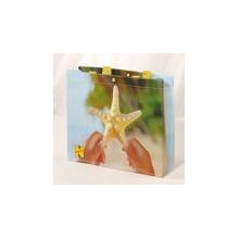 苍南县彩林包装制品厂-购物袋