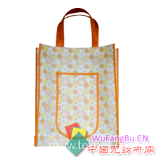 苍南县宏基塑纺工艺公司-无纺布购物袋