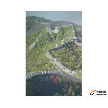 绍兴新丝路布业有限公司-新丝路白壁无缝墙布-无缝墙布
