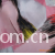 嘉兴市敬易纺织品有限公司-人丝粘印花布/人造丝人棉交织印花布/人丝粘交织印花