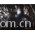 海宁市佳涛经编有限公司-供应经编烫金麂皮绒