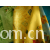 绍兴市润洋纺织有限公司-印花布1 